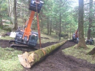 御小屋山内より搬出