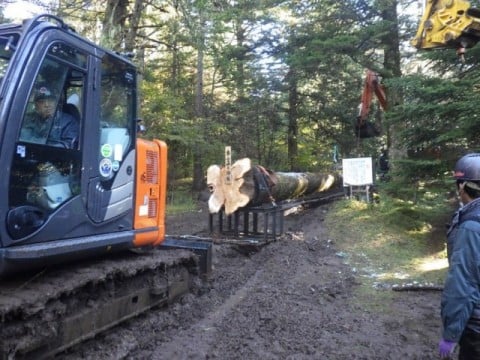 御小屋山内より搬出