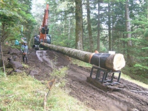 御小屋山内より搬出