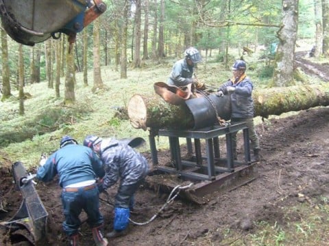 御小屋山内より搬出