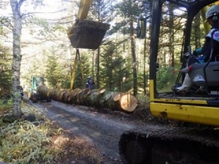 御小屋伐採場所から仮置場