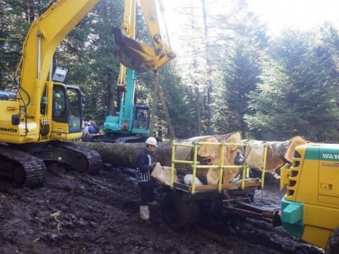 御小屋伐採場所から仮置場