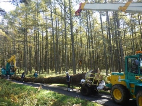 御小屋伐採場所から仮置場