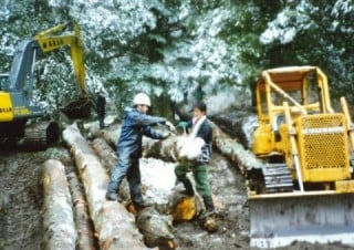 御小屋伐採場所から綱置場